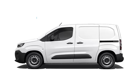 berlingo